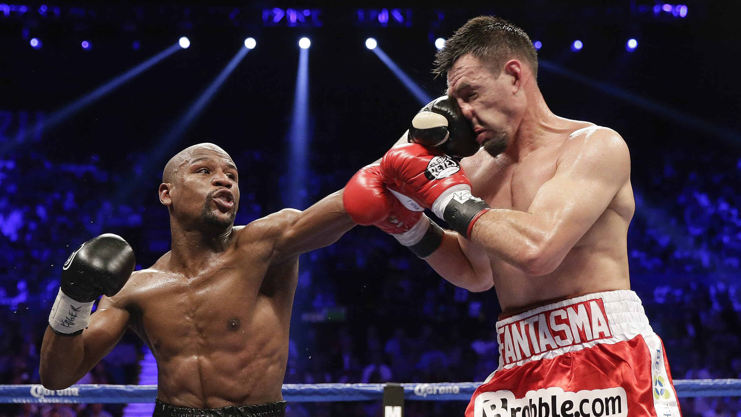 开云-WRC赛事志：车手、团队与粉丝的故事，wrc参赛车队2020